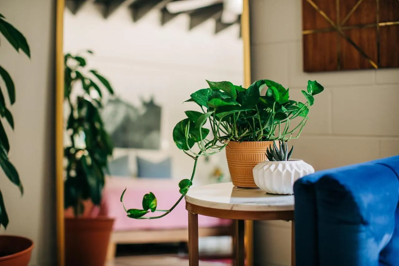Hotel Stellar Suites Louisville